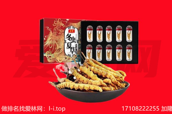 黔东南岑巩县回收虫草.jpg